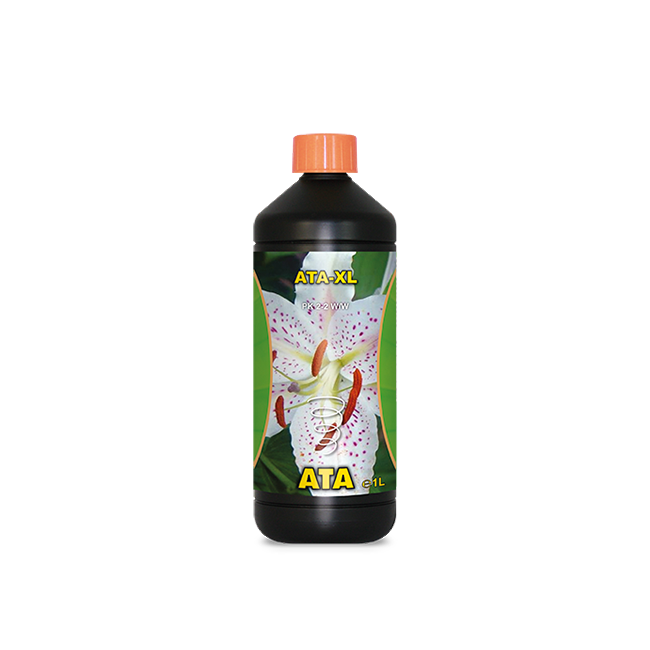 atami ata xl