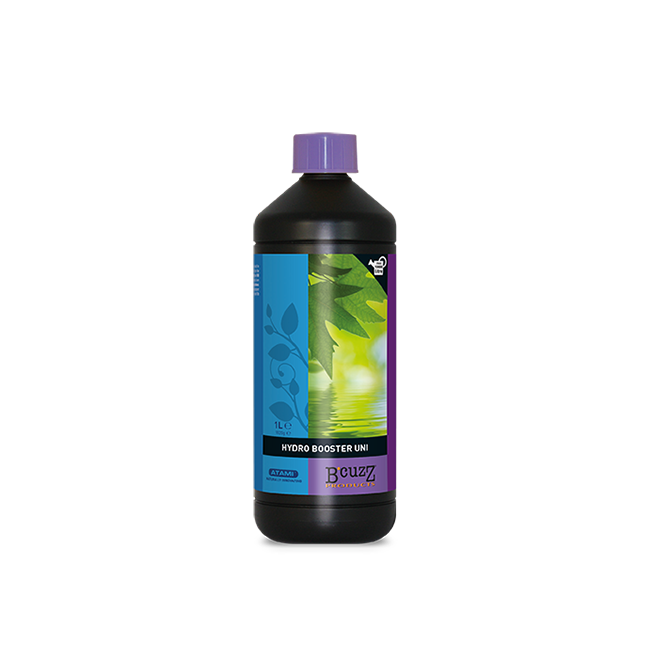 atami bcuzz hydro booster
