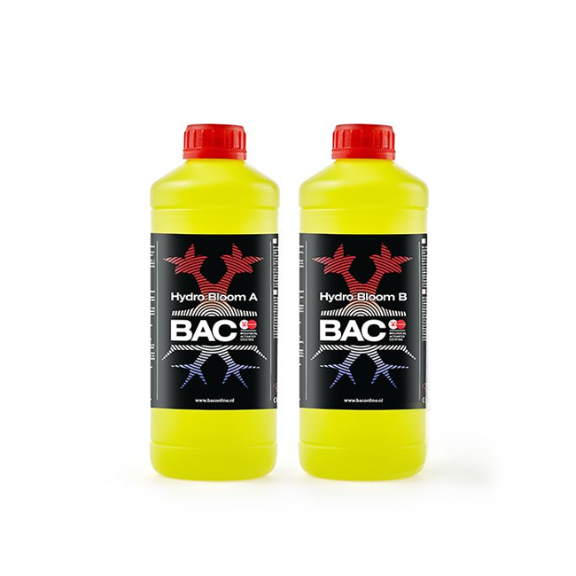 bac bloei hydro