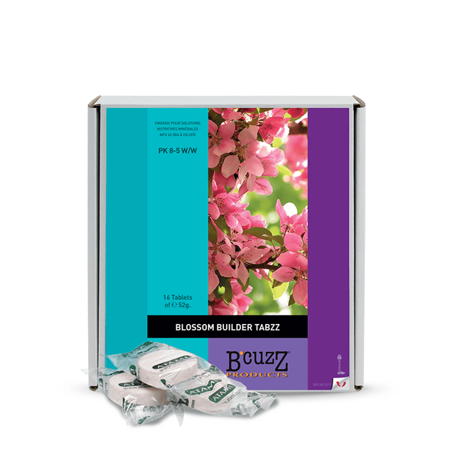 atami bcuzz blossom builder tabzz