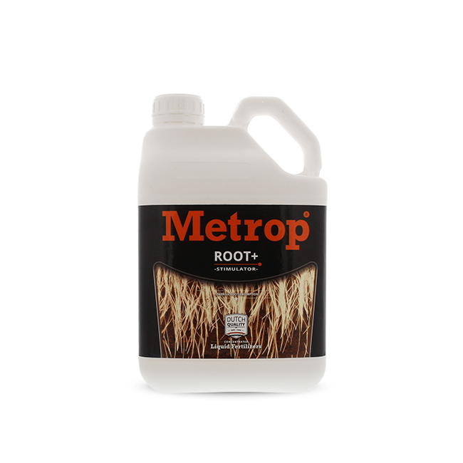 metrop root plus